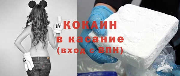 ПСИЛОЦИБИНОВЫЕ ГРИБЫ Арсеньев