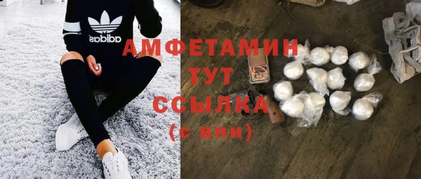сатива Аркадак