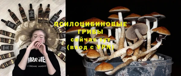 сатива Аркадак