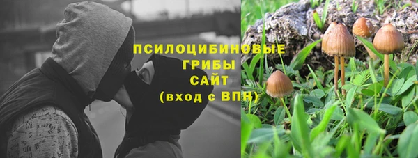 ПСИЛОЦИБИНОВЫЕ ГРИБЫ Арсеньев