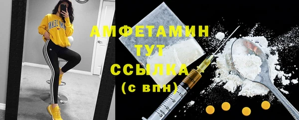 сатива Аркадак